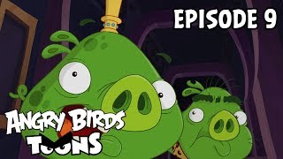 Angry Birds Toons | Cave Pig - S2 Ep9