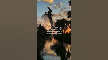 سورة الشورى عبد الباسط عبد الصمد #القرآن_الكريم #قرآن