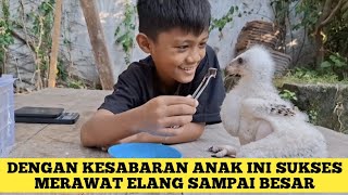 This child raised an eagle from the age of 7 days to the age of 70 days