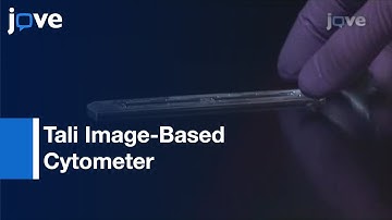 Assessment: GFP Expression & Viability Using Tali Image-Based Cytometer l Protocol Preview