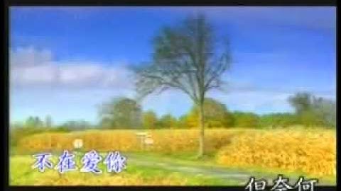 雨中飄盪的回憶刀郎