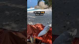 View | Picnic time | Seychelles