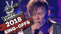 The Script - Breakeven (Matthias Nebel) | The Voice of Germany | Sing-Offs