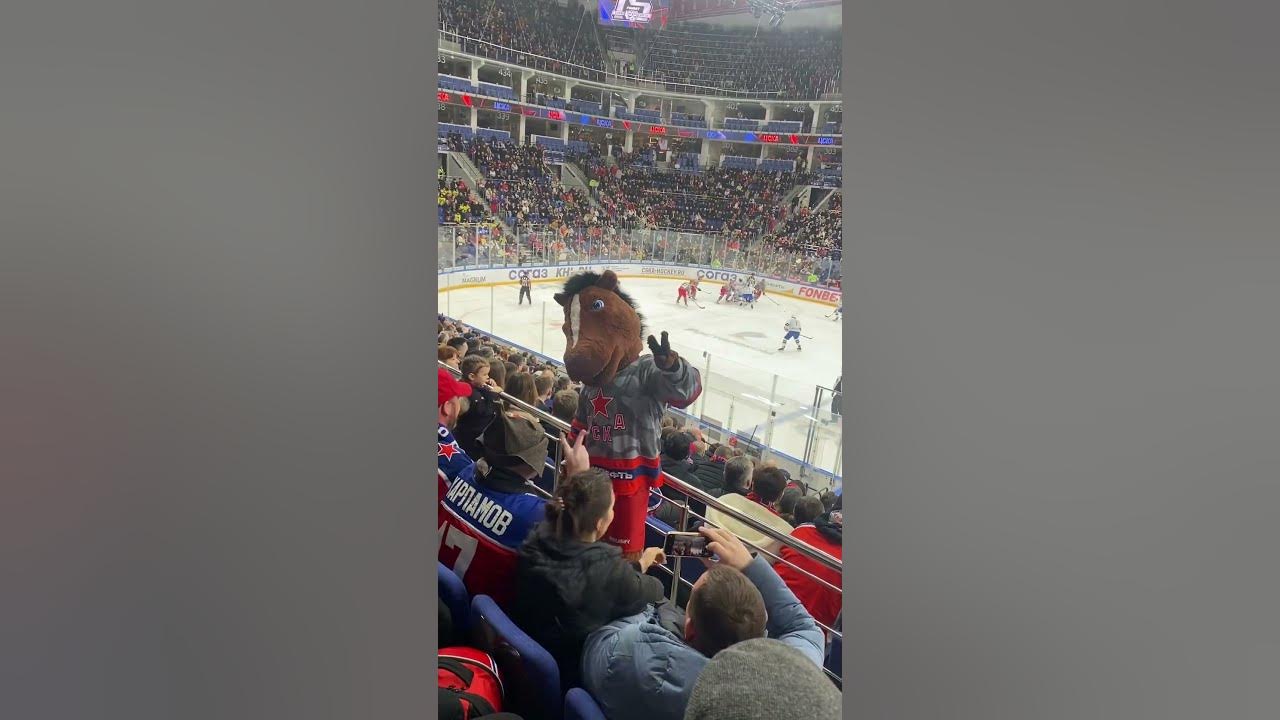 Музыкальная пауза в хоккейном матче