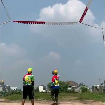 apakah ini yang di namakan merpati losdor...impian setiap joki