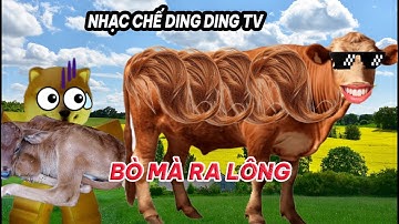 Nhạc chế Ding Ding TV: Bò mà ra lông