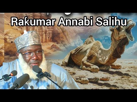 The Camel Of Prophet Salih 