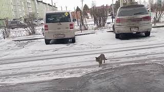 Поездка в Вайлдберриз, сдала всё назад,дорога домой.