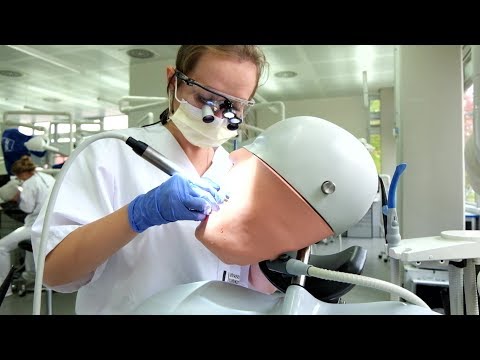 Der geduldige Patient - Die Simulationsklinik der Zahnmedizin