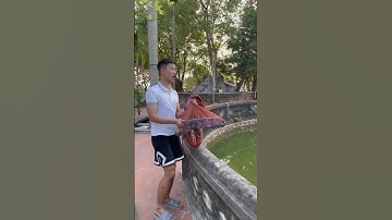 Quăng chài đĩa bay dù đơn giản cho người mới chơi