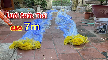 Lưới Cước Thái Cao 7m - Dài 100m - 5cm và 3cm. Đánh chìm, Dây Pô,Hàng thửa