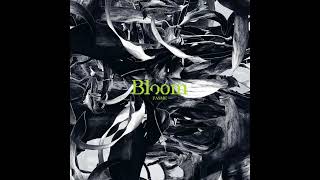 Fasme - Yellow Polygon