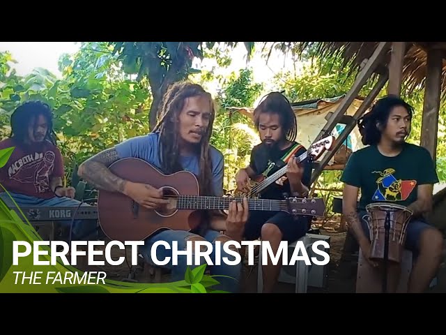 Perfect Christmas | The Farmer (Cover) class=