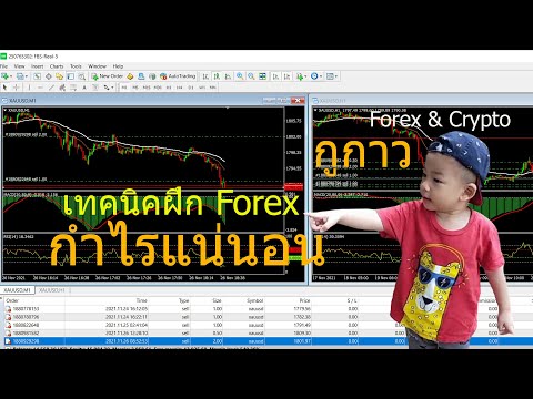 เทคนิคการฝึก forex ยังไง กำไรแน่นอน 