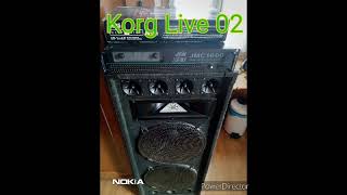 Bassguard - Korg Live 02