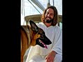A lifeboat at sea - Jesus saves a puppy from a turtle #oração #oraçãodanoite #jesus #amen