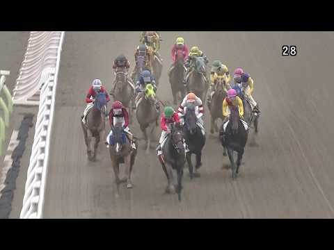 マトチャンネル】的場文男騎手 7142勝目（6/6 大井6R） - YouTube