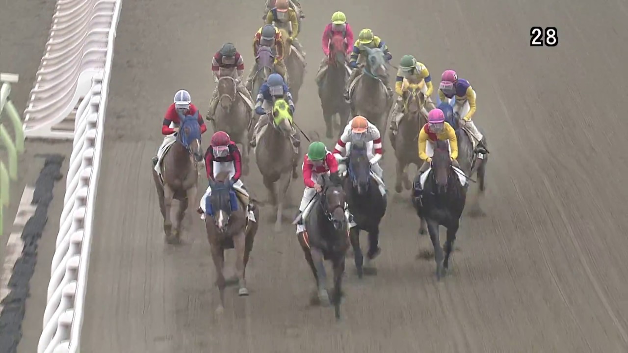 的場文男　的馬券　マトバケン　二枚セット マトチャンネル】的場文男騎手 7142勝目（6/6 大井6R） - YouTube