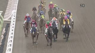 マトチャンネル】的場文男騎手 7142勝目（6/6 大井6R） - YouTube