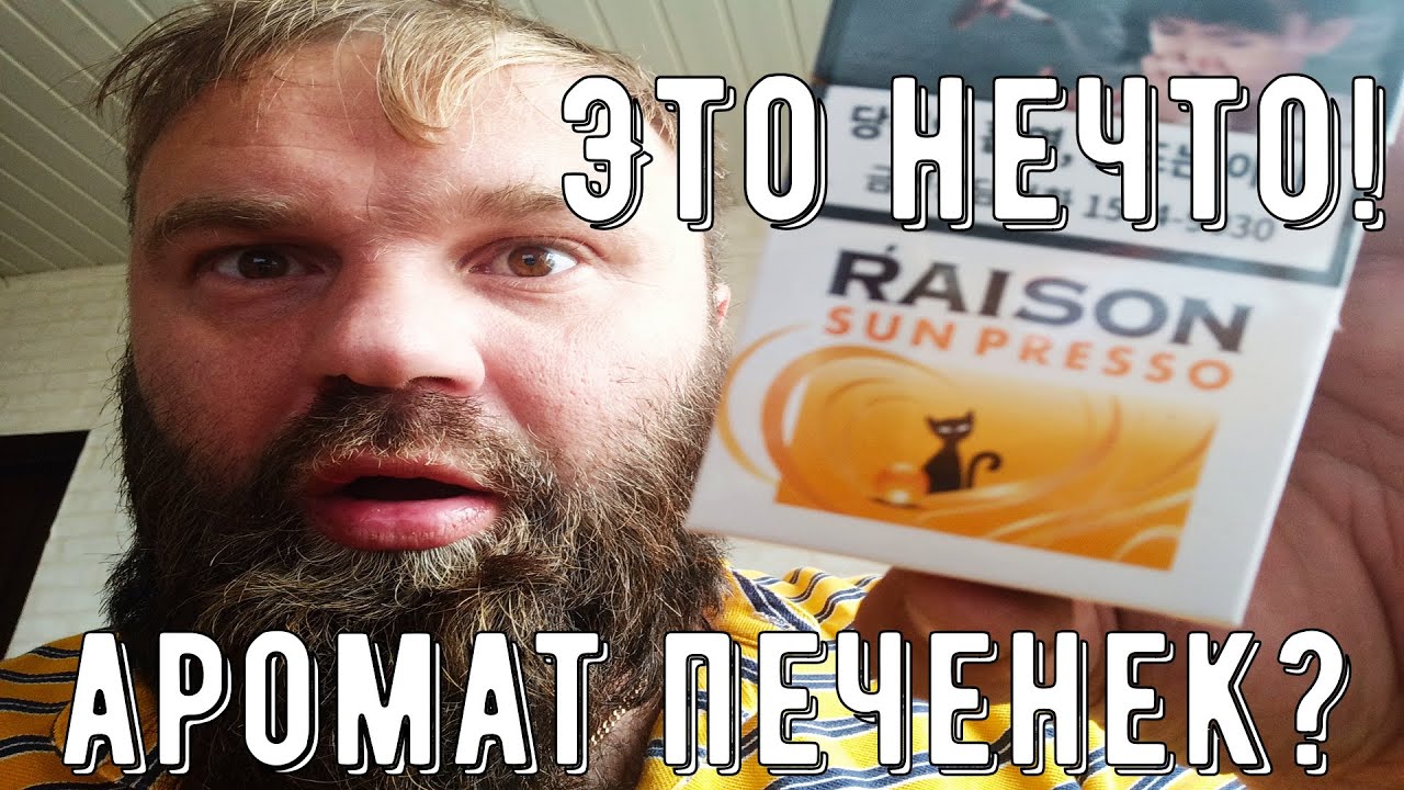 Это что за покемон? Обзор на Raison - YouTube