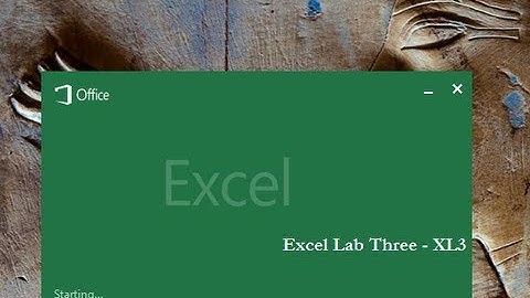 Microsoft Excel Lab Three