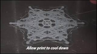 Taulman nylon bridge 3d printed snowflake using Glass build plate wizard