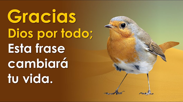 GRACIAS DIOS POR TODO | Los milagros suceden cuando tú le das gracias a DIOS