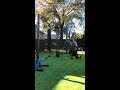 Lunge and Squat exercises with GRT Handle