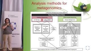 Метагеномика — Алла Лапидус