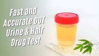 DOT Urine & Hair Drug Test by goMDnow