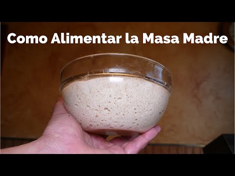Como alimentar la MASA MADRE Así consigo mi masa madre para hacer 🍞 PAN EN CASA