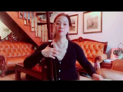 《渴望》 二胡降Ｂ调演奏