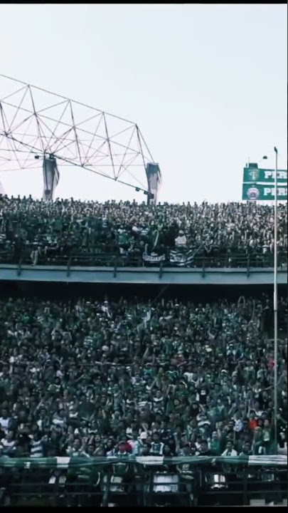Per...se...ba....ya Green Force 👏👏👏 #persebaya #bonek #greennord27