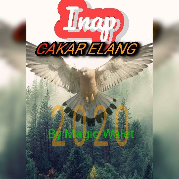 Suara inap paling dahsyat menginapkan walet