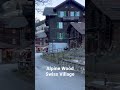 Swiss View | Alpine Wood Village in Murren Valley #shorts #switzerland #swissview