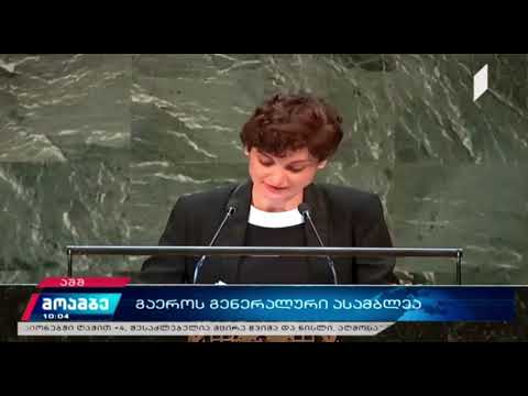 გაეროს გენერალური ასამბლეაზე საქართველოს წარმომადგენელმა  უშიშროების საბჭოს ანგარიშზე ისაუბრა