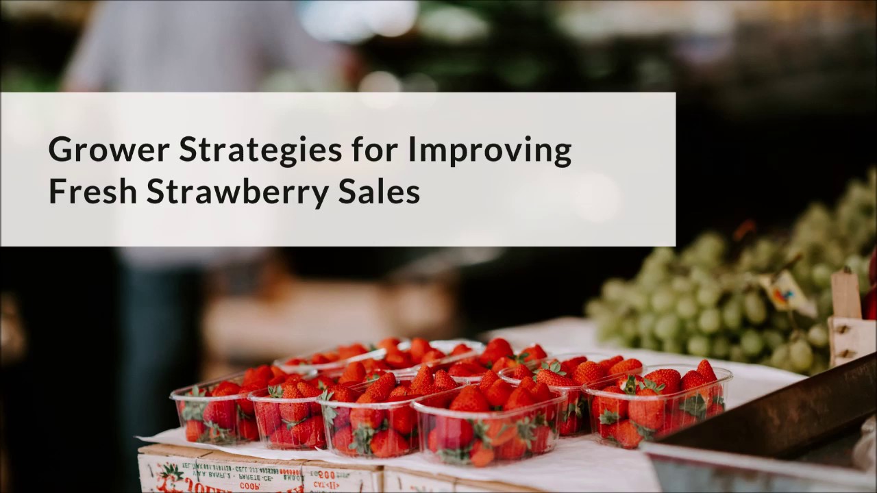 Farmer's Market Sweet Strawberry FO 678 - Wholesale Supplies Plus