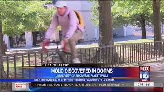 Mold Discovered in Dorm Rooms