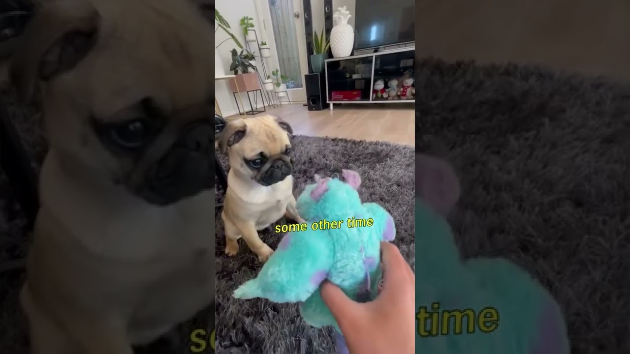Pug Wants to Fight Monsters Inc Toy