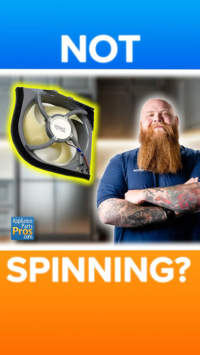 Your Fridge’s Biggest Secret Weapon? This Tiny Fan!