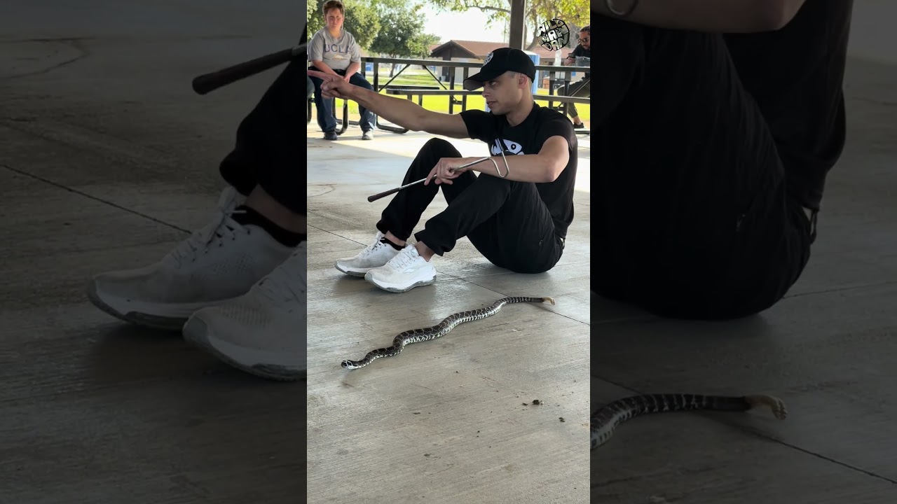 Уайлдман Дэн идёт рядом с мордой гремучей змеи 