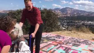 Josephine Makes the Summit