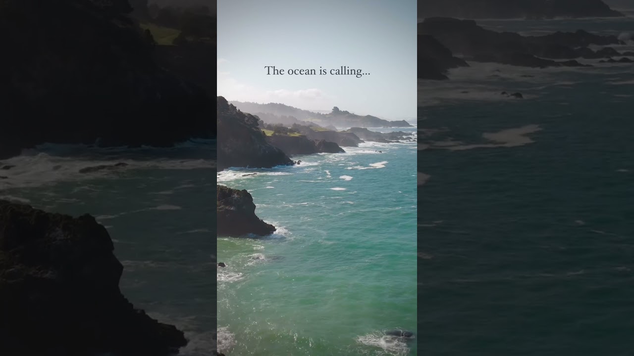 Will you pick up? ☎️