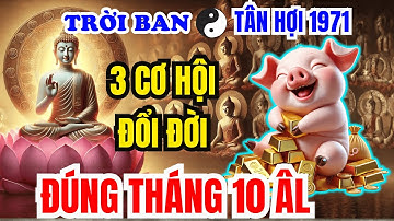🔥 XEM NGAY KẺO MUỘN – BÍ ẨN 3 CƠ HỘI ĐỔI ĐỜI CHO TUỔI TÂN HỢI 1971 TRONG THÁNG 10 ÂM LỊCH!
