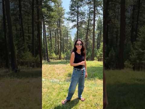 384 Smoke Ridge Road, Kila, MT home video tour