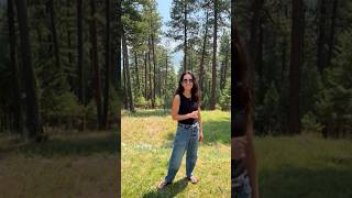 384 Smoke Ridge Road video tour