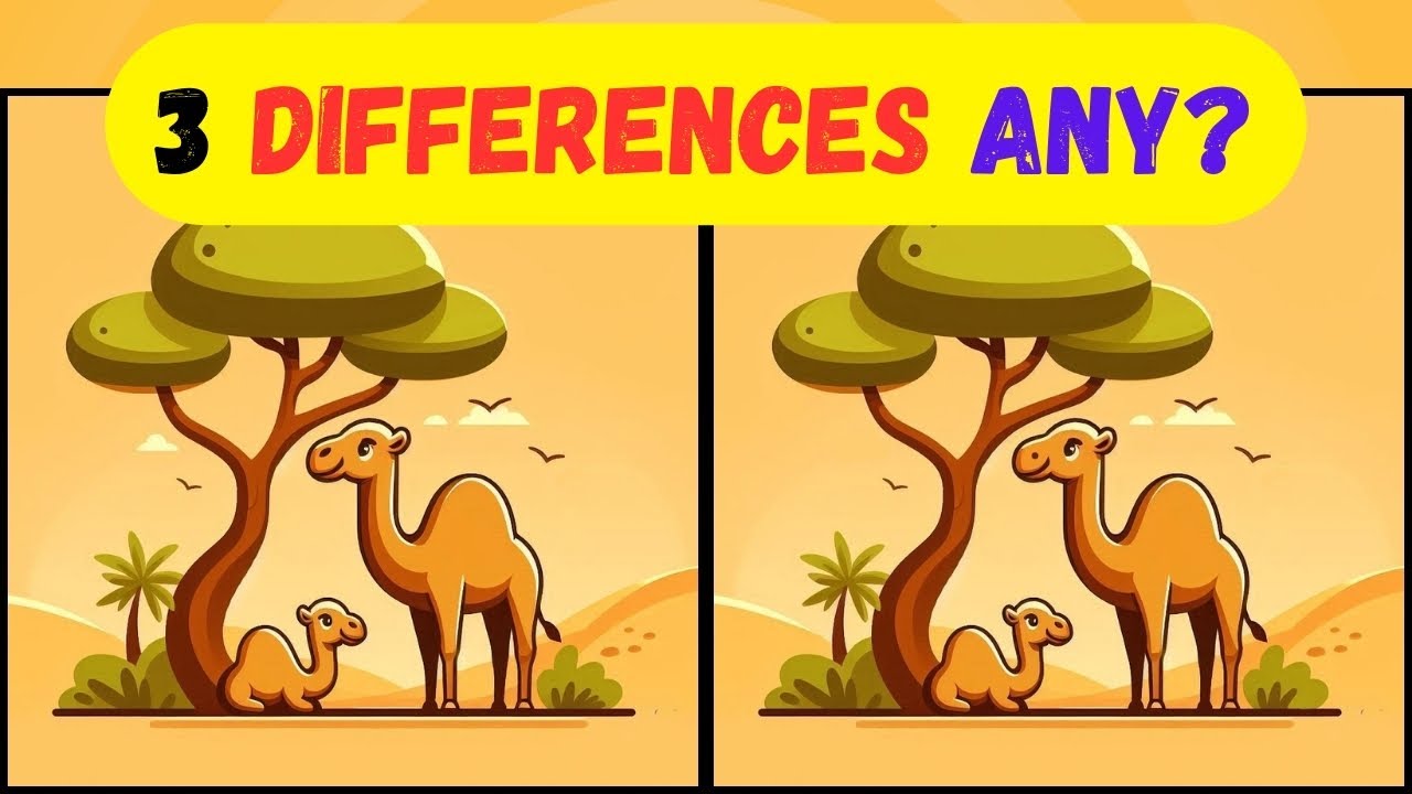 FIND THE 3 DIFFERENCES - YouTube