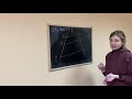 Теорема Фалеса. Средние линии трапеции и треугольника
