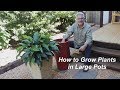 Growing Plants in Large Pots