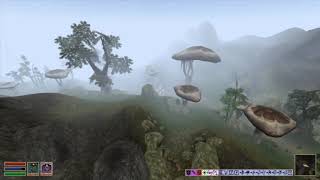 OpenMW on Switch OpenMW on Switch